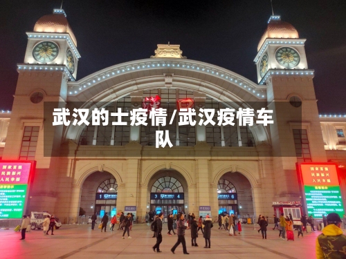 武汉的士疫情/武汉疫情车队