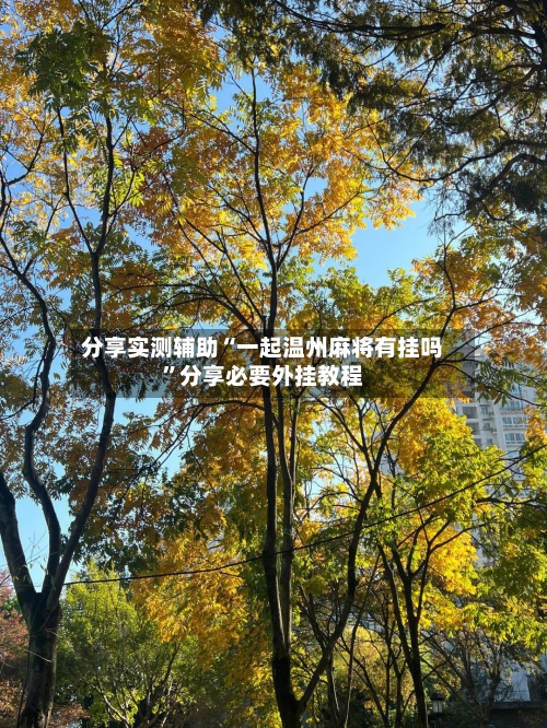 分享实测辅助“一起温州麻将有挂吗	”分享必要外挂教程-第3张图片