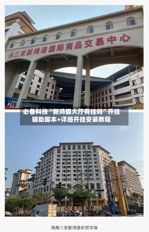 必备科技“新鸿狐大厅有挂吗”开挂辅助脚本+详细开挂安装教程-第2张图片