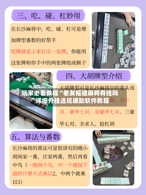 玩家必看教程“老友福建麻将有挂吗”详细外挂透视辅助软件教程-第2张图片