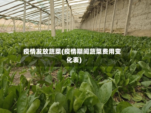疫情发放蔬菜(疫情期间蔬菜费用变化表)