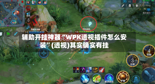 辅助开挂神器“WPK透视插件怎么安装”(透视)其实确实有挂