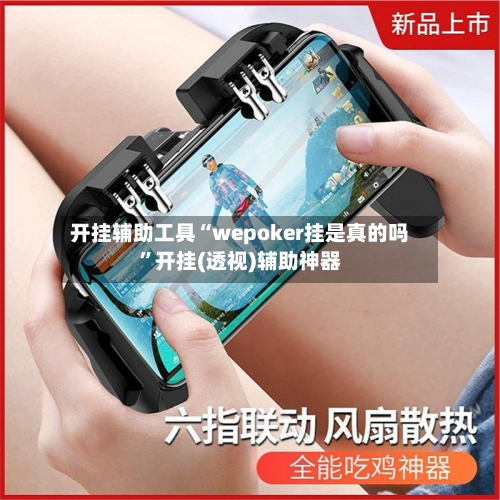 开挂辅助工具“wepoker挂是真的吗	”开挂(透视)辅助神器-第2张图片