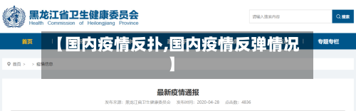 【国内疫情反扑,国内疫情反弹情况】-第2张图片