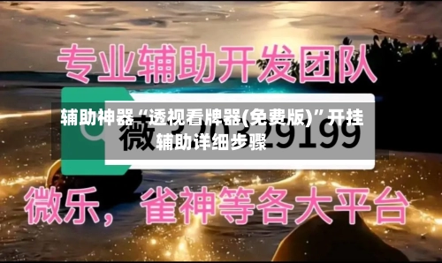 辅助神器“透视看牌器(免费版)	”开挂辅助详细步骤-第2张图片