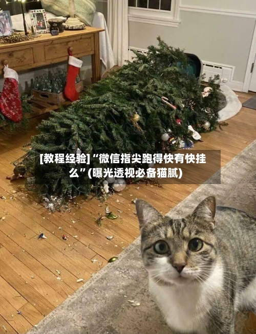 [教程经验]“微信指尖跑得快有快挂么	”(曝光透视必备猫腻)-第2张图片