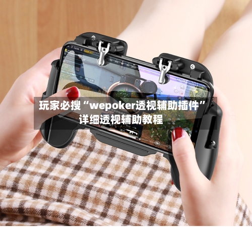 玩家必搜“wepoker透视辅助插件”详细透视辅助教程-第2张图片