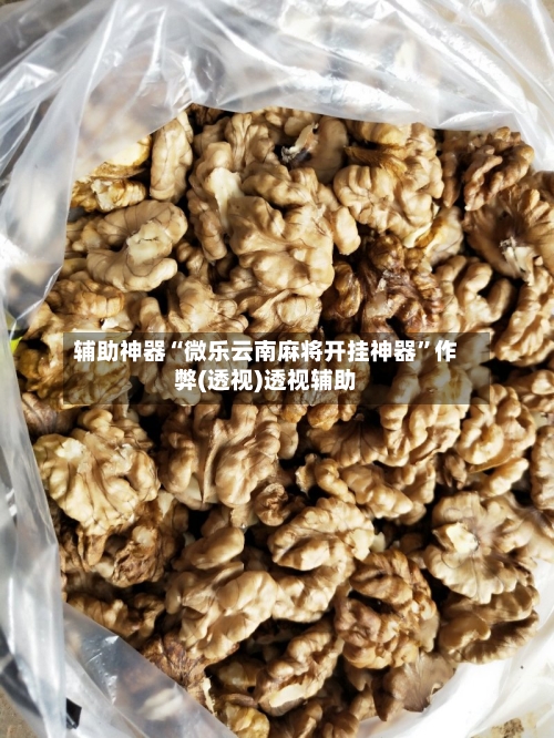 辅助神器“微乐云南麻将开挂神器”作弊(透视)透视辅助