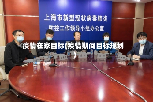 疫情在家目标(疫情期间目标规划)