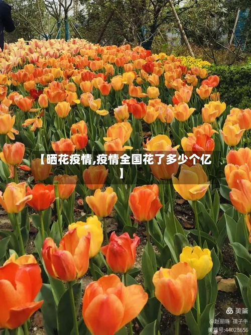 【晒花疫情,疫情全国花了多少个亿】-第2张图片