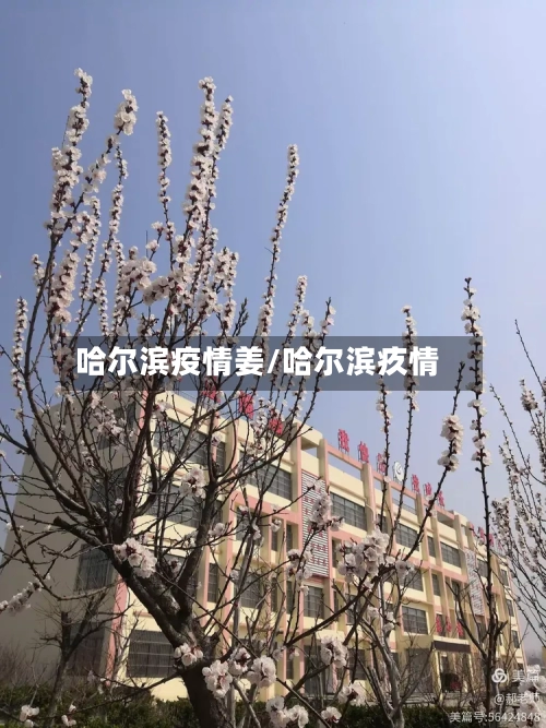 哈尔滨疫情姜/哈尔滨疚情-第3张图片