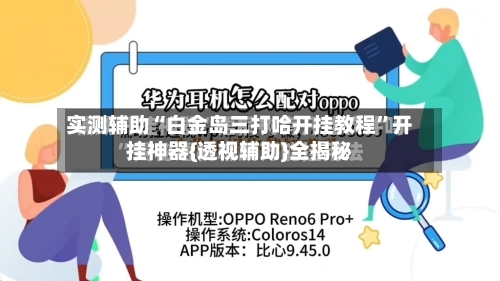 实测辅助“白金岛三打哈开挂教程”开挂神器{透视辅助}全揭秘-第2张图片