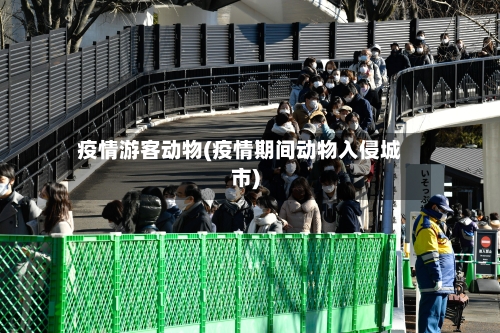 疫情游客动物(疫情期间动物入侵城市)