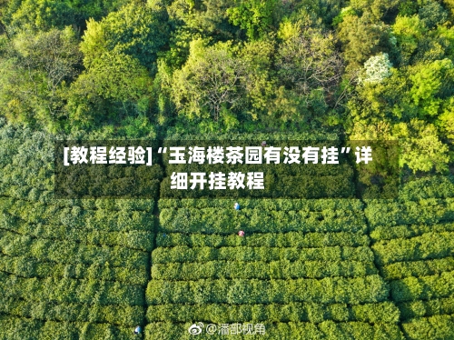 [教程经验]“玉海楼茶园有没有挂”详细开挂教程