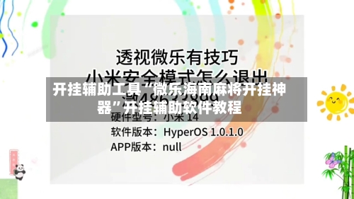 开挂辅助工具“微乐海南麻将开挂神器”开挂辅助软件教程-第2张图片