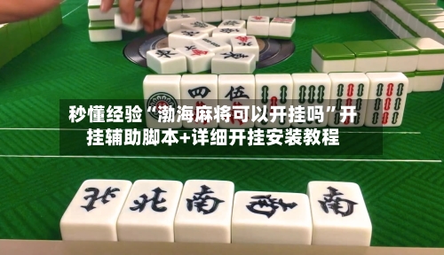 秒懂经验“渤海麻将可以开挂吗”开挂辅助脚本+详细开挂安装教程