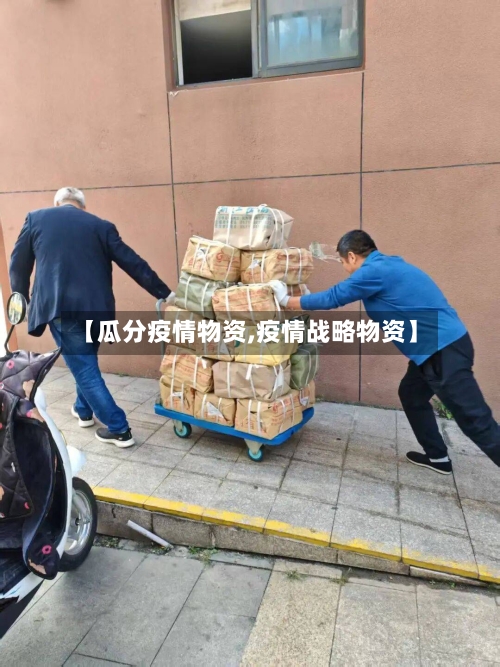 【瓜分疫情物资,疫情战略物资】