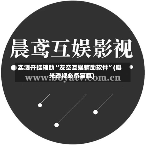 实测开挂辅助“友空互娱辅助软件”(曝光透视必备猫腻)