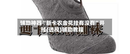 辅助神器“新卡农金花挂有没有”开挂(透视)辅助教程