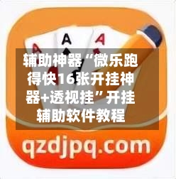 辅助神器“微乐跑得快16张开挂神器+透视挂”开挂辅助软件教程
