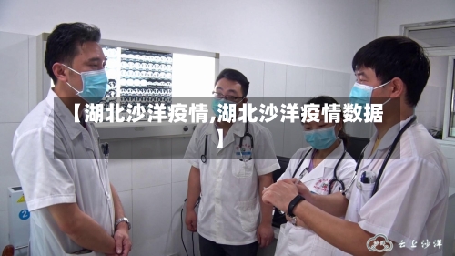 【湖北沙洋疫情,湖北沙洋疫情数据】-第2张图片