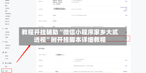 教程开挂辅助“微信小程序家乡大贰透视”附开挂脚本详细教程