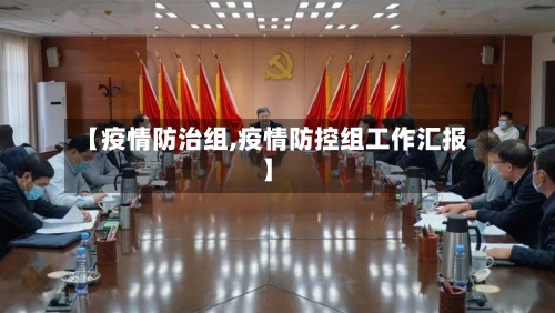 【疫情防治组,疫情防控组工作汇报】