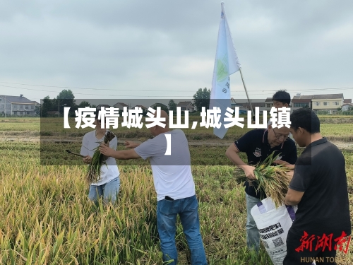 【疫情城头山,城头山镇】-第2张图片
