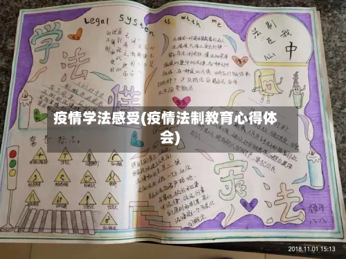 疫情学法感受(疫情法制教育心得体会)