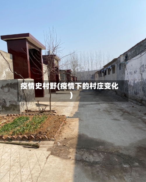 疫情史村野(疫情下的村庄变化)