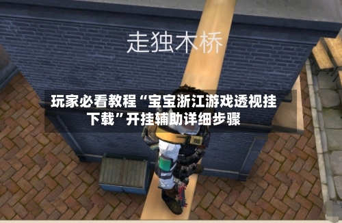 玩家必看教程“宝宝浙江游戏透视挂下载”开挂辅助详细步骤