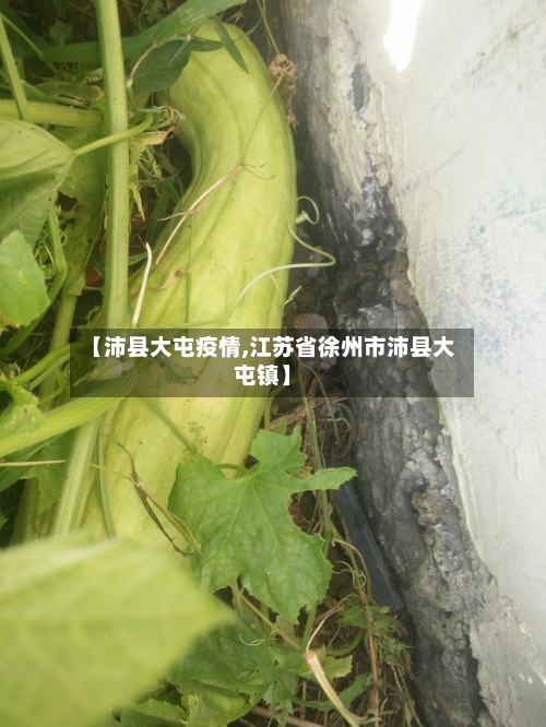 【沛县大屯疫情,江苏省徐州市沛县大屯镇】-第2张图片