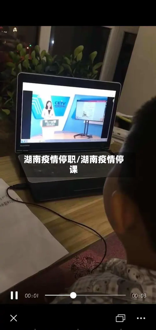 湖南疫情停职/湖南疫情停课-第2张图片