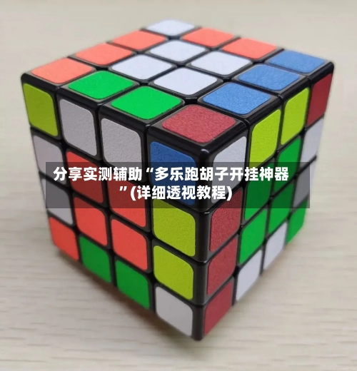 分享实测辅助“多乐跑胡子开挂神器”(详细透视教程)