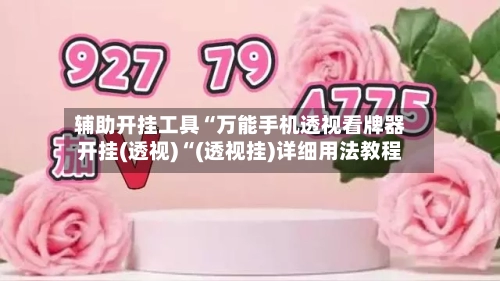 辅助开挂工具“万能手机透视看牌器开挂(透视)“(透视挂)详细用法教程-第2张图片