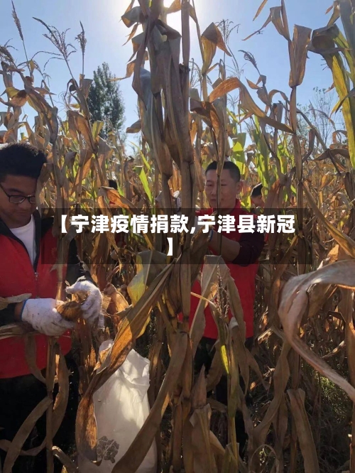 【宁津疫情捐款,宁津县新冠】-第3张图片