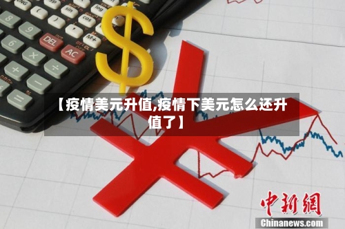 【疫情美元升值,疫情下美元怎么还升值了】-第2张图片
