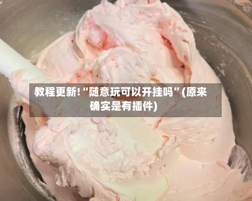 教程更新!“随意玩可以开挂吗”(原来确实是有插件)