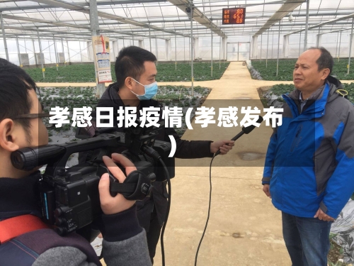 孝感日报疫情(孝感发布)-第2张图片