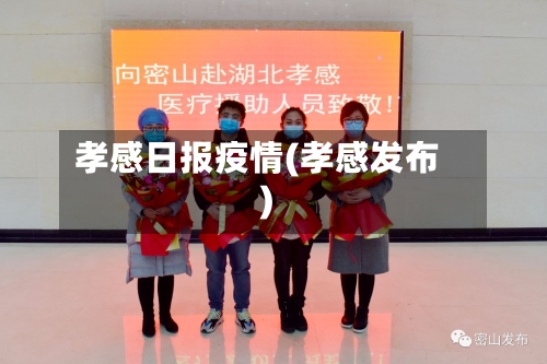 孝感日报疫情(孝感发布)-第3张图片