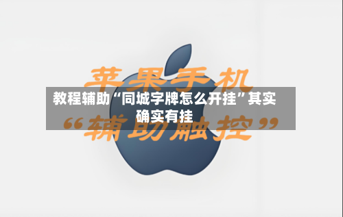教程辅助“同城字牌怎么开挂”其实确实有挂