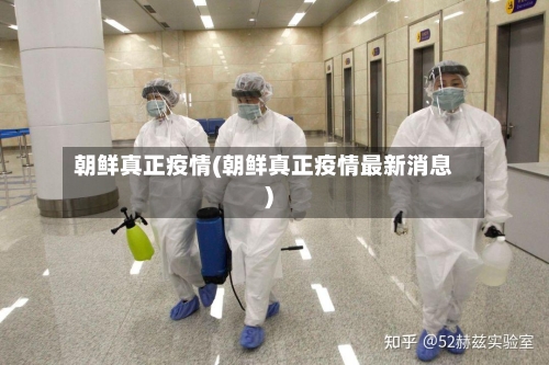 朝鲜真正疫情(朝鲜真正疫情最新消息)-第2张图片