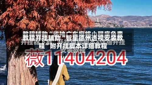 教程开挂辅助“智星德州透视安装教程”附开挂脚本详细教程