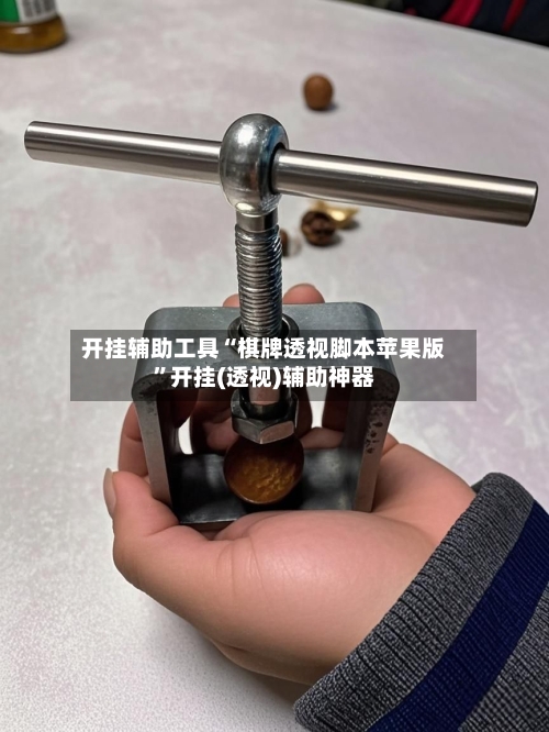 开挂辅助工具“棋牌透视脚本苹果版”开挂(透视)辅助神器-第2张图片