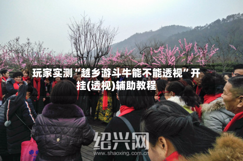 玩家实测“越乡游斗牛能不能透视”开挂(透视)辅助教程-第3张图片