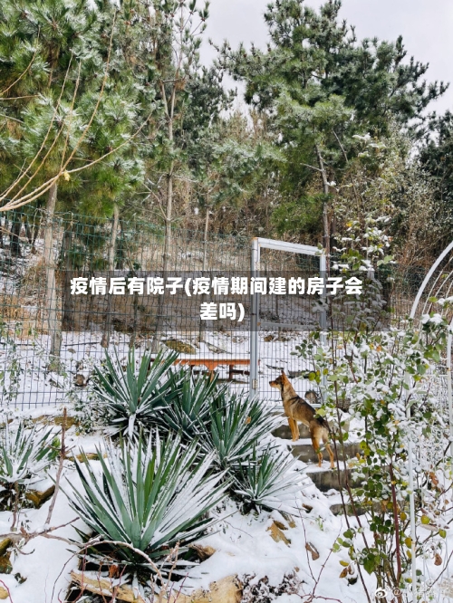 疫情后有院子(疫情期间建的房子会差吗)
