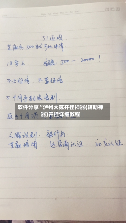 软件分享“泸州大贰开挂神器(辅助神器)开挂详细教程-第3张图片