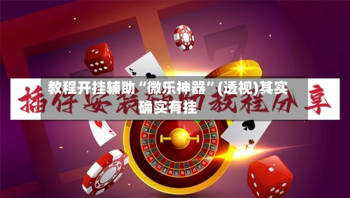 教程开挂辅助“微乐神器	”(透视)其实确实有挂-第2张图片