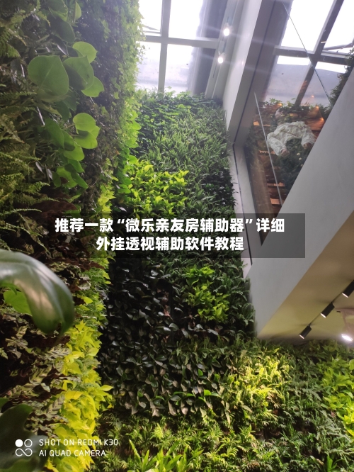 推荐一款“微乐亲友房辅助器”详细外挂透视辅助软件教程