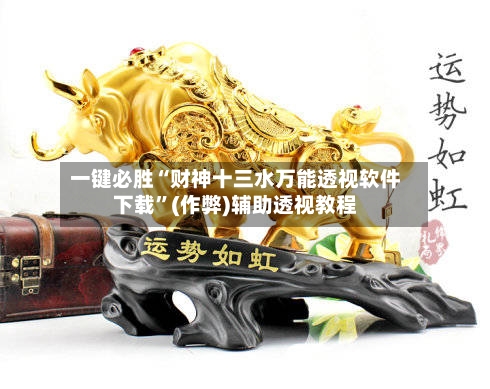一键必胜“财神十三水万能透视软件下载”(作弊)辅助透视教程-第3张图片